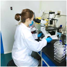 1593757735251305.jpg 98a1b8c5-0a8e-4349-ace8-c2e3ca63d5a9.jpg